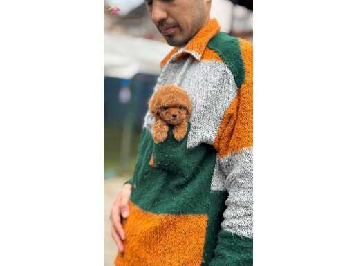 Oyuncak Gibi Kore Yavrular