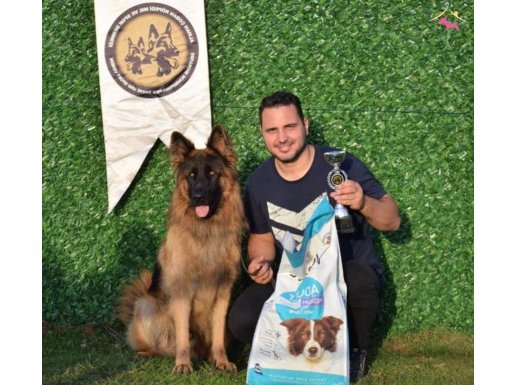 Uzun Tüylü Dişi Yavrular