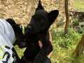 BİR SOLİD BLACK HİKAYESİDE SİZİN OLSUN 