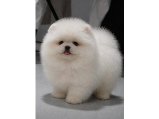 DAHA İYİSİ YOK GERCEK