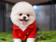 En İYİSİNİ İSTEYENE EĞİTİMLİ 