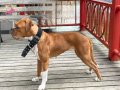 TEMEL EĞİTİMLİ ÇOK SOSYAL ÜCRETSİZ 