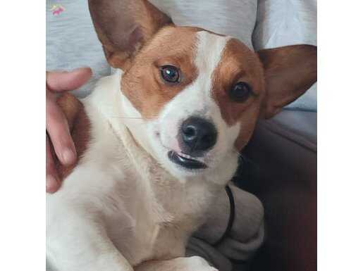 Ankarada yaşıyoruz temiz aile dostu 