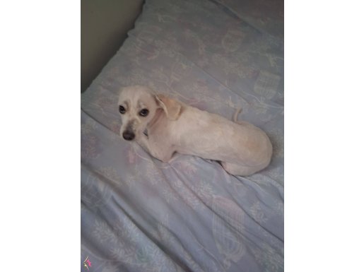 SADECE KAHVE YAPMASINI BİLMEZ 