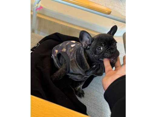 Güzeller güzeli kara kızım