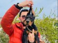MÜTHİŞ KALİTE DOBERMAN YAVRULAR
