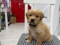 Dünyalar Tatlısı Bir Kız Bebek