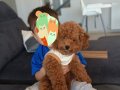 Teddy bear görünümlü poodle bebeğim linda
