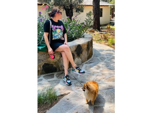 Pomeranian Dişi son yavru, fiyat gerçek