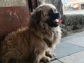 AİLE ORTAMINA UYGUN OĞLUMUZ