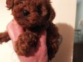 Yaşam Enerjinizi Yükseltecek Ev Ortamı Toy Poodle Yavruları