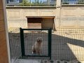 Sevimli Kızımıza Yuva Arıyoruz