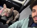 RENKLİ GÖZLÜ MERLE FRENCH BULLDOG 