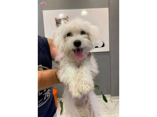 BİR MAYIS 2025 DOĞUMLU 