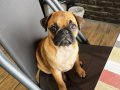 Oyucu hareketli pug