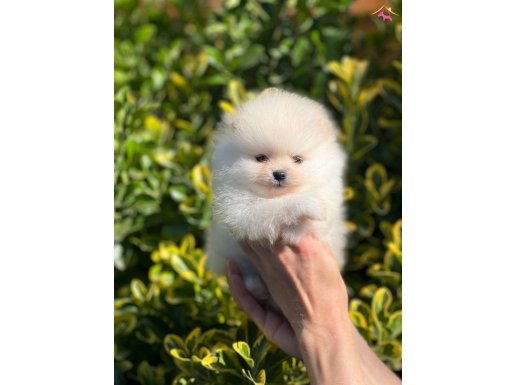 KARBEYAZ OĞLUMUZ BOO