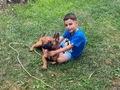 Dört aylık aşıları tamam