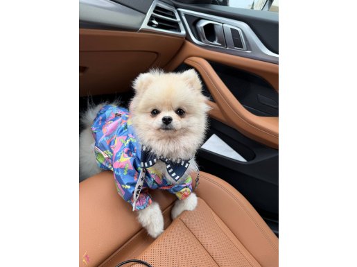 Orjinal ayı surat yavrumuz