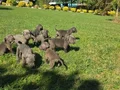 A KALİTE BLUE CANE CARSO YAVRULARI