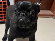 6 aylık aşıları tam