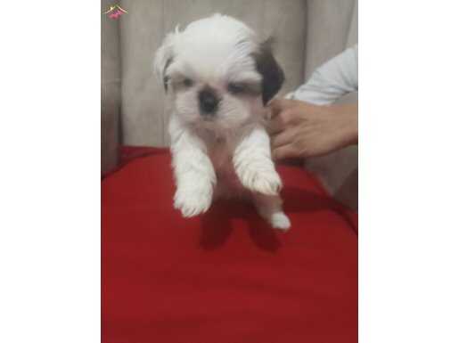 KALİTE ASLA TESADÜF DEĞİLDİR...