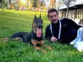 Evcil 7 Aylık Doberman 