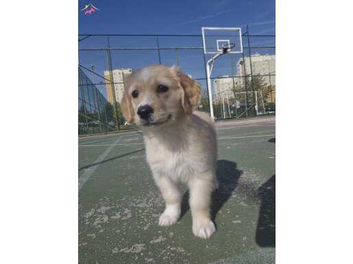 Aldığım Fiyata Veriyorum