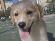 Aldığım fiyata veriyorum