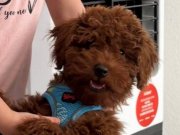 2 nisan doğumlu wc eğitimli erkek