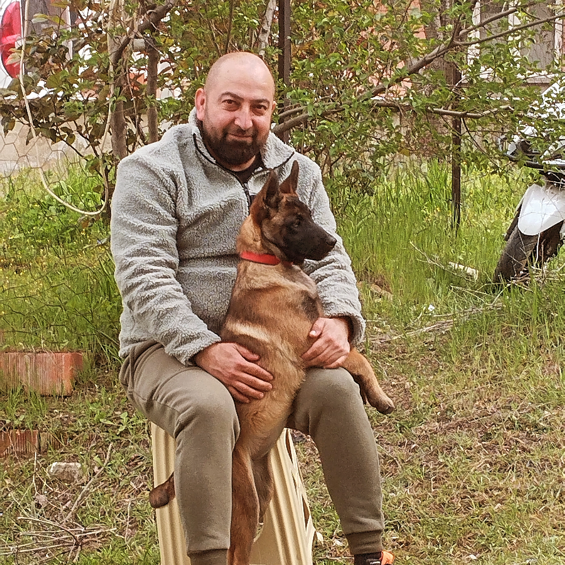 DENİZLİ MALİNOİS