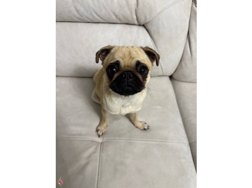 Çocuklu aile için uyumlu