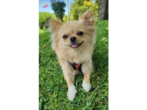 kızımıza yuva arıyoruz