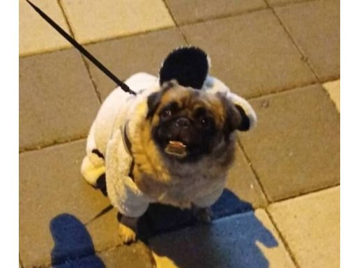 TUVALET VE TEMEL EĞİTİMLİ 