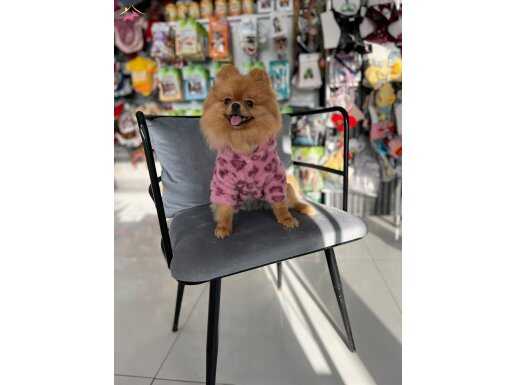 TEDDY BEAR 1 YAŞ ÜST KALİTE DİŞİ