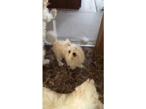 Bu genç arkadaşlar yeni evlerini bekliyorlar