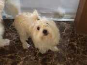 Bu genç arkadaşlar yeni evlerini bekliyorlar