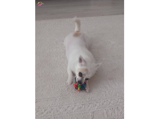 Benim tatlı kızım lunam