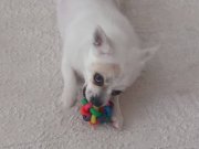 Benim tatlı kızım lunam