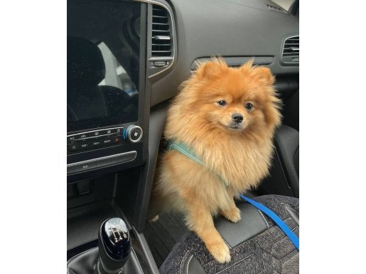 2 yaşındaki kızimiza yuva arıyoruz.