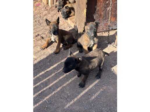 Hedefinizde kalite varsa elbet karşılaşırız.