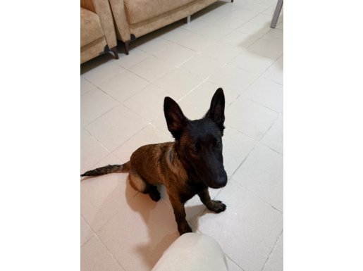 4.5 aylık kızımız 