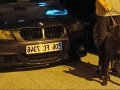 Cane Corso blue 9 aylık erkek