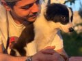 Tertemiz Bakımlı Border Collie