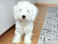 6 Aylık Mia Oyuncu Çocukları Çok Seviyor Sevgi Arsızı 