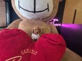 WC EĞİTİMLİ AŞILI TOY POODLE 