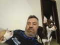 Safkan dişi 