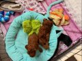 Red Brown Toy Poodle Bebekler