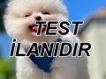 Bu bir test ilandır