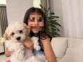 4 aylık aşı pasaport çip herşeyi var