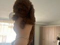 Teacup poodle en küçük boy